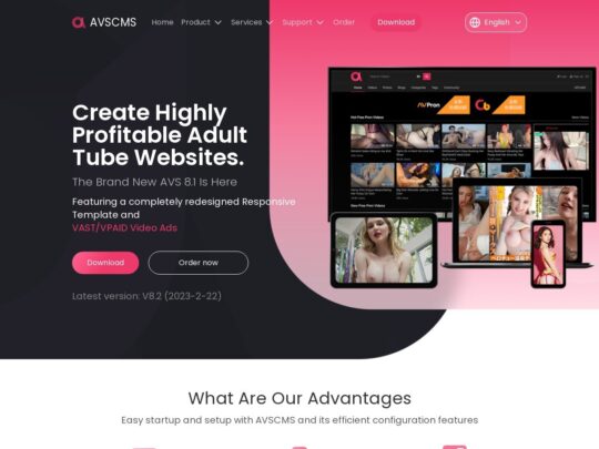 AdultVideoScript