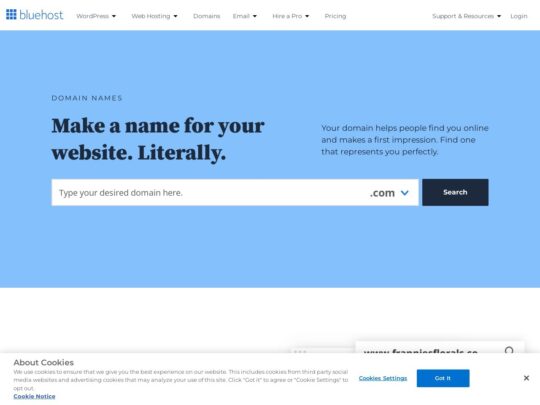 Bluehost